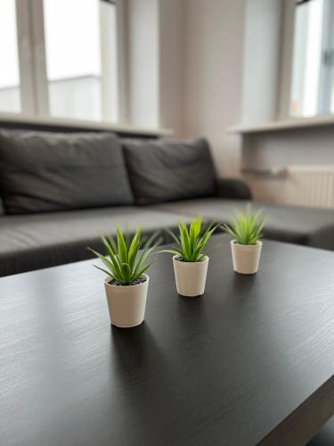 Siauliai County Apartment | Akmene Center Apartment