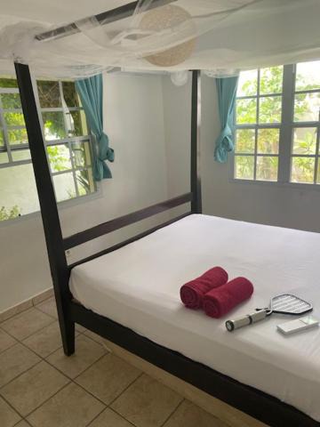 Grand Case House | Akunamatata Guest House Grand Case