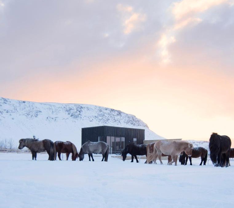 Sveitarfelagid Olfus House | Akurgerði Guesthouse 4 - Country Life Style