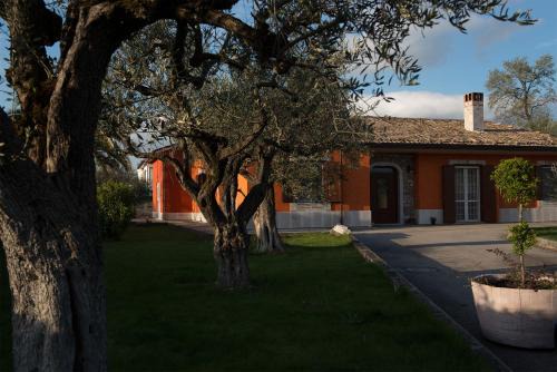 Paternopoli Bed & Breakfast | Al Chiaro di Luna