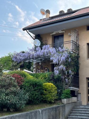 Barghe Apartment | Al glicine
