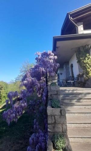 Cunardo Bed & Breakfast | Al Picchio Verde A.P.S.