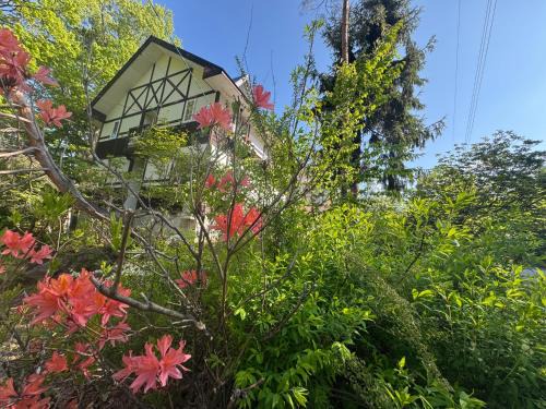 Minamiaizu Hotel | ALBERGO DEL PESCATORE