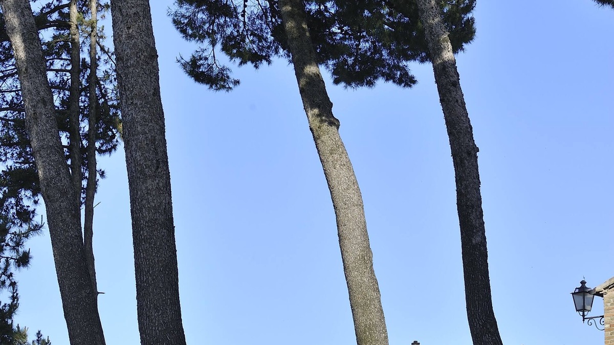 Montemaggiore al Metauro Hotel | Albergo Diffuso Borgo Montemaggiore