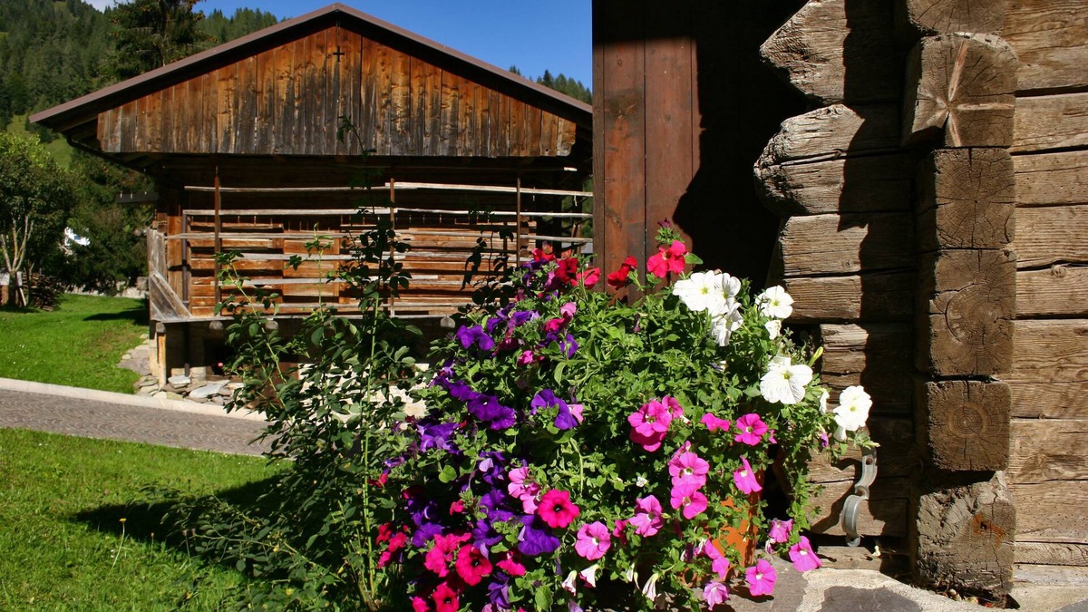 Sauris di Sotto Hotel | Albergo Diffuso Sauris di Sotto