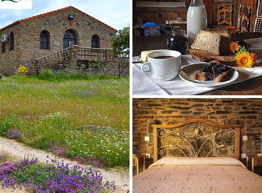 Plasenzuela House | Albergue La Jarilla