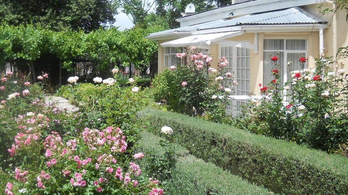 Cradock Bed & Breakfast | Albert House B&B