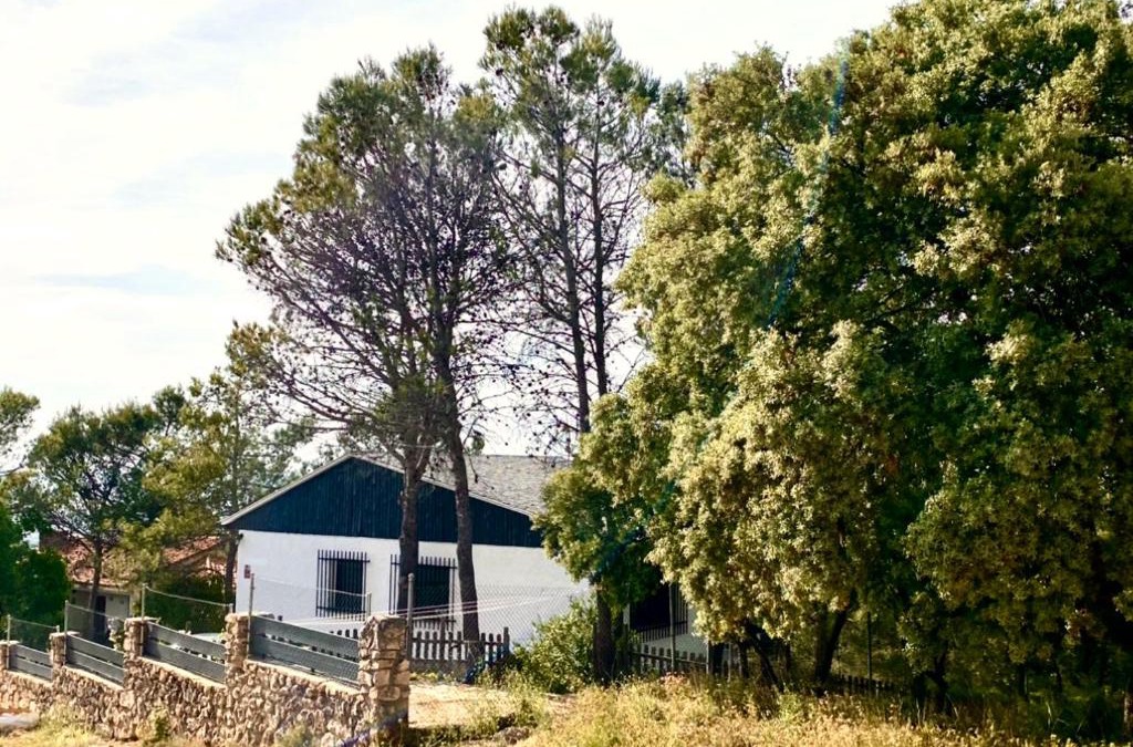 Albalate de Zorita House | Alcarria , Casa del Agua