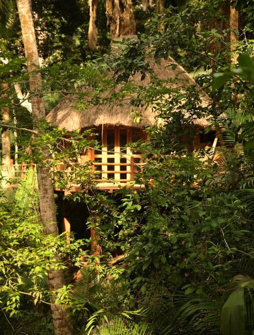 San Francisco Cabin | Aldea Bamboo Village
