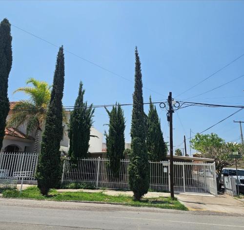 Delicias House | Alegría