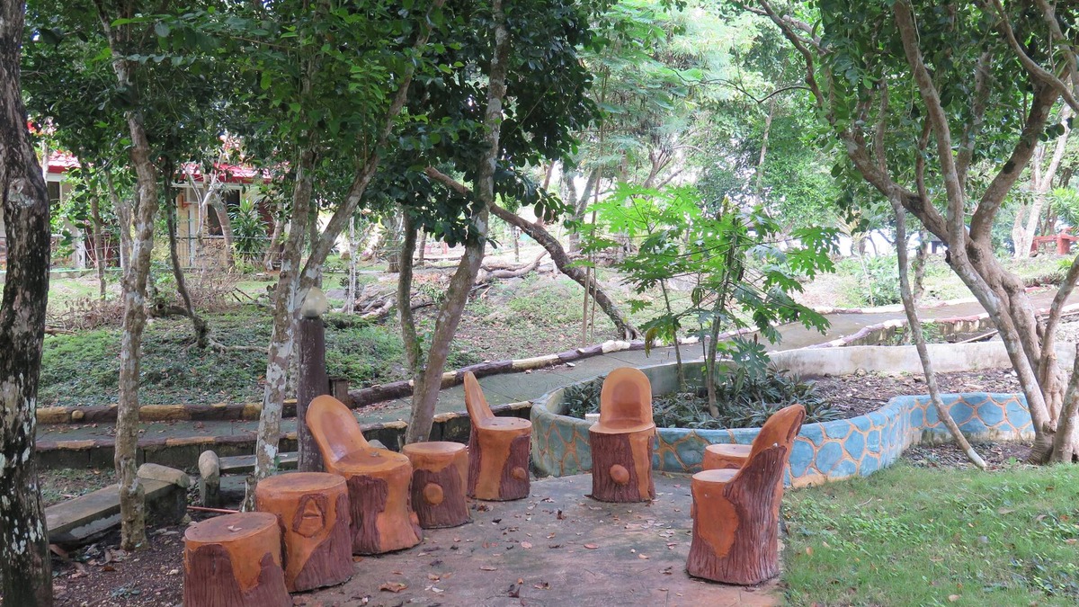 Dauis House | Alexis Cliff Dive Resort