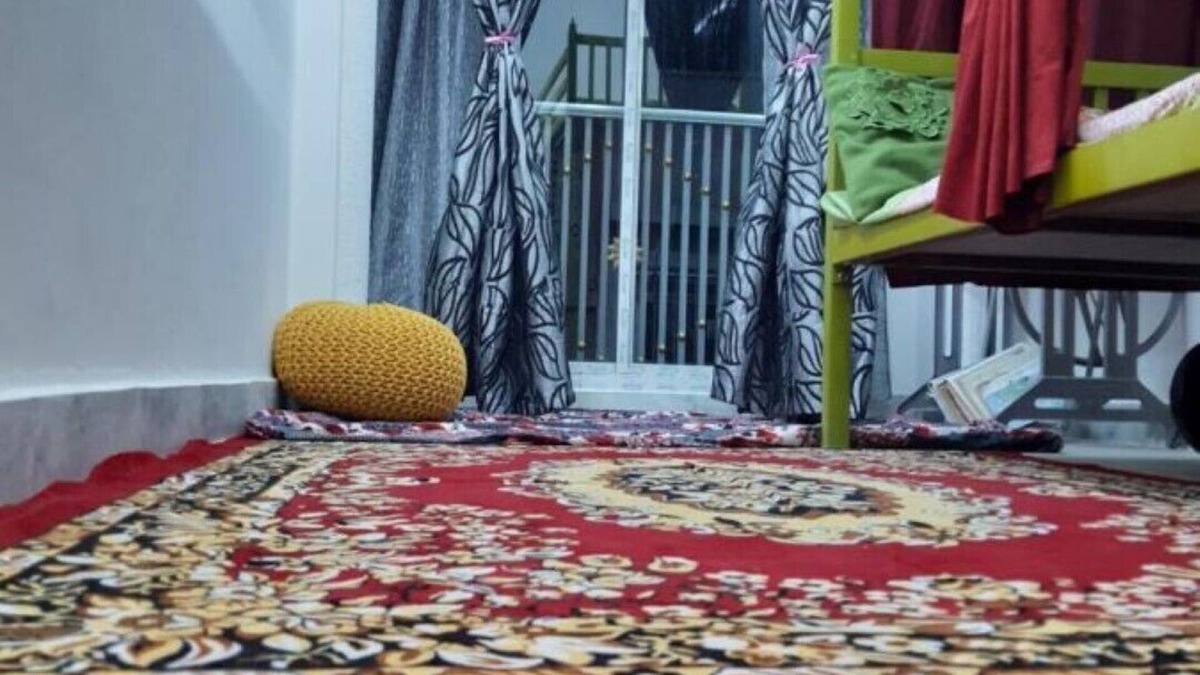 Pink City House | ALI BABA HOSTELn