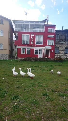 Egirdir Bed & Breakfast | Ali's Pension