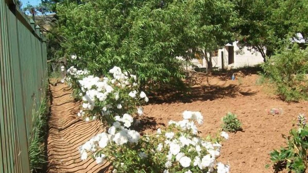 Sterkspruit House | Aligeo Guest House