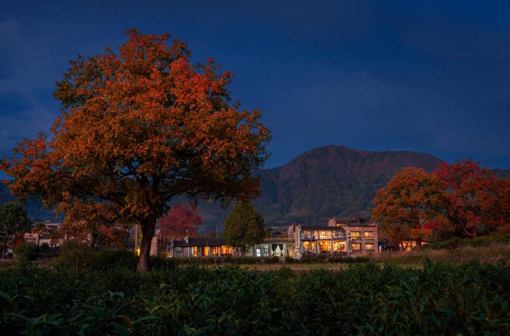 Yi County Hotel | Alina Garden Boutique Resort Huangshan Hongcun