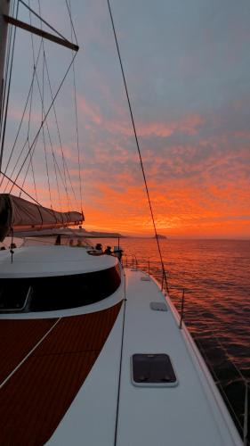 Altea Boat Rental | Alion Yacht