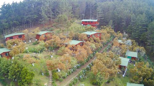 La Palma Cabin | Alla Arriba