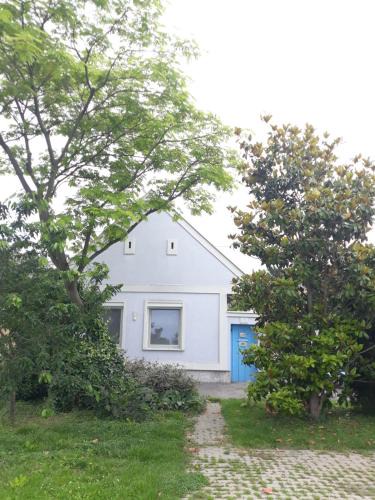 Kittsee House | Alla