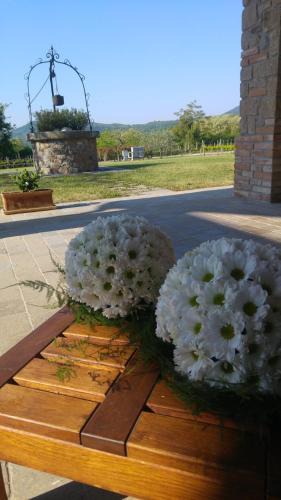 Arqua Petrarca Bed & Breakfast | Alloggio Franciscus
