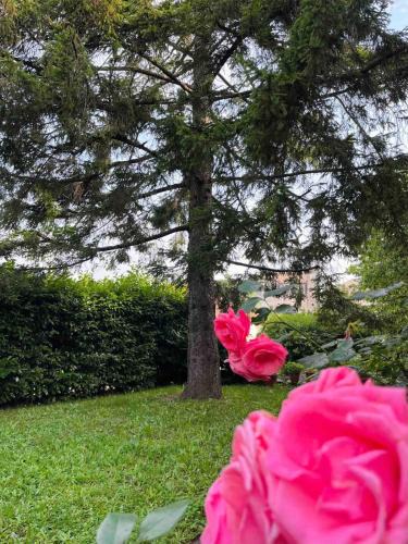 Casaleggio Boiro House | Alloggio il pino