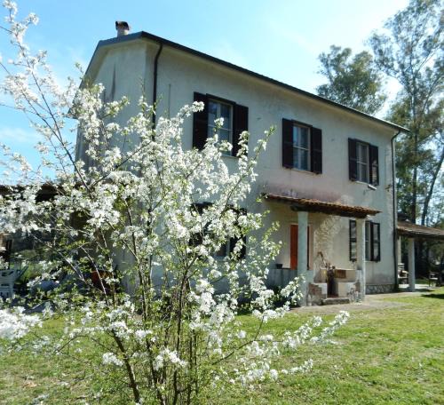 Latina Lido Apartment | Alloggio Turistico Podere 1792