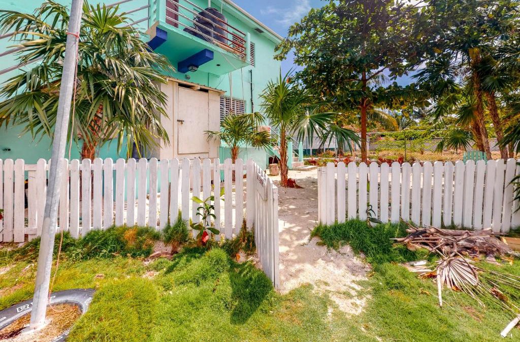 Caye Caulker Hotel | Almond Tree 3 at Island Cabanas Gold Standard Certified