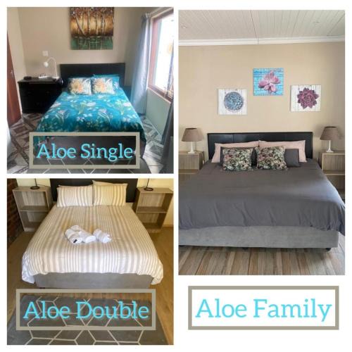 Brandwag House | Aloe Guest Rooms