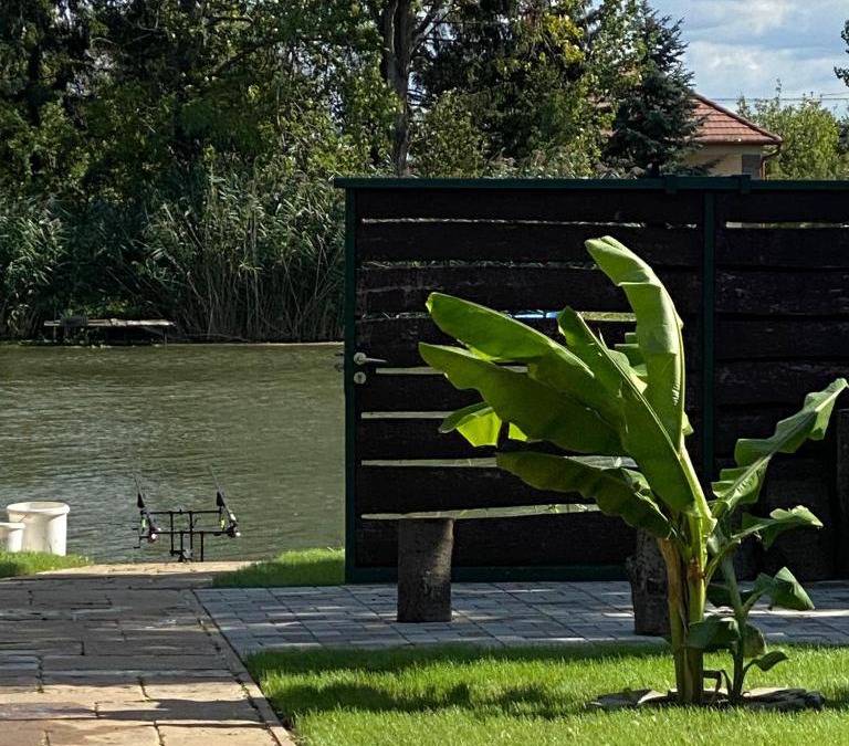 Bekesszentandras House | Aloha Hawaii Lak