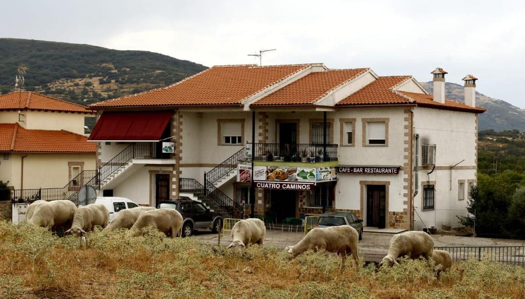 San Pablo de los Montes House | Alojamiento CR Cuatro Caminos