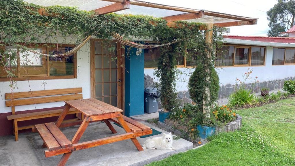 Cotopaxi House | Alojamiento la moya Cotopaxi