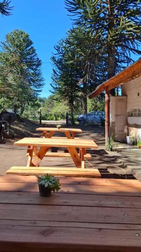 Villa Pehuenia Apartment | Alojamientos Titin