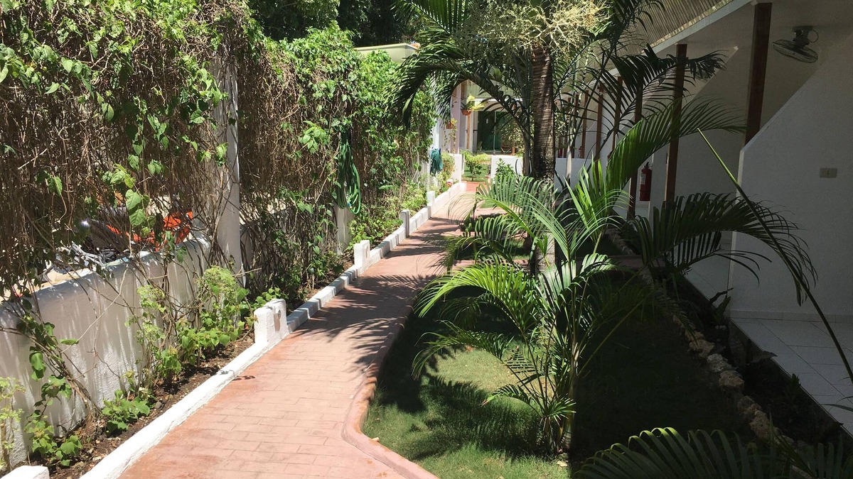 Tawala House | Alona Gecko Inn