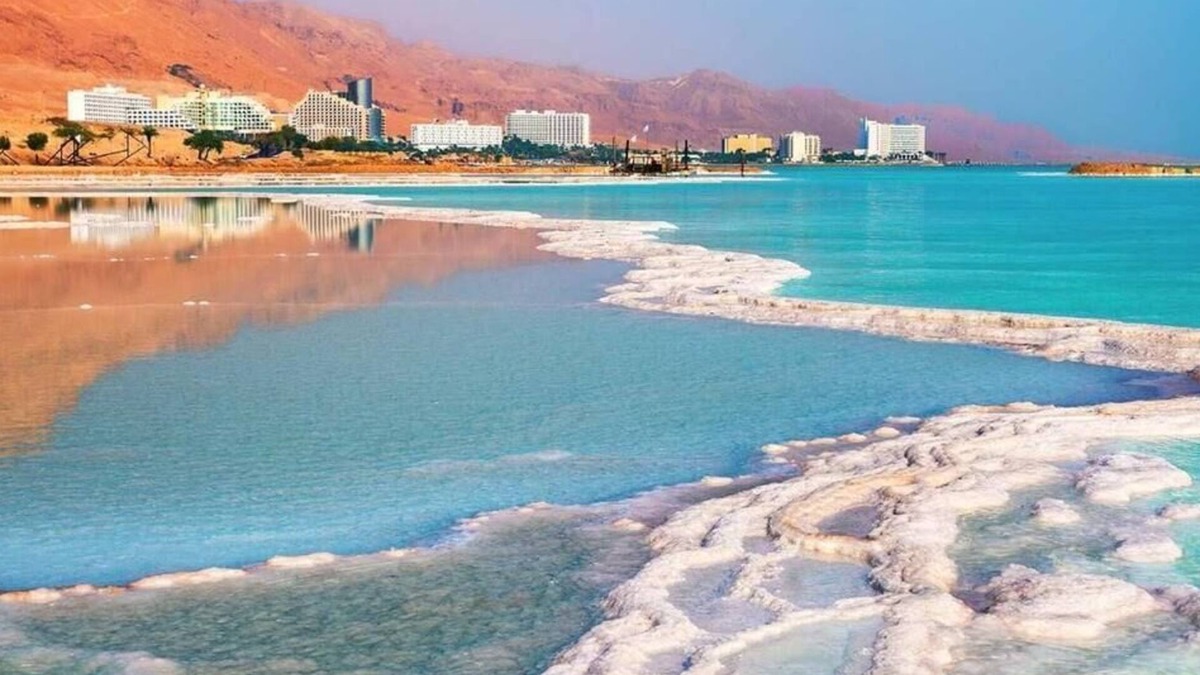 Neve Zohar Apartment | Aloni - Guest house Dead Sea