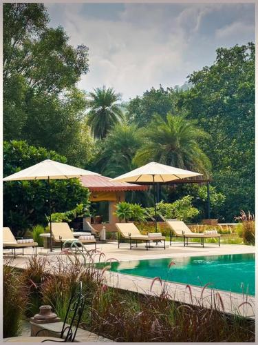 Ghanerao Cabin | Aloof Jungle Lodge