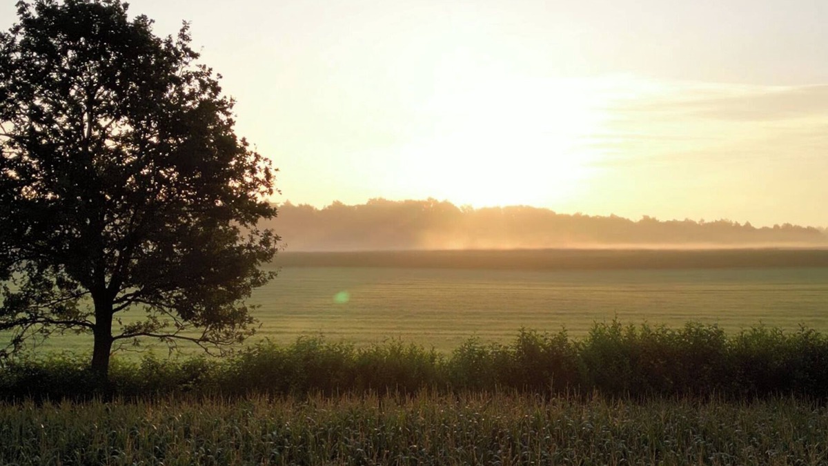 Rhedebrugge Apartment | Alpakablick vacation apartment - including free alpaca meet & greet