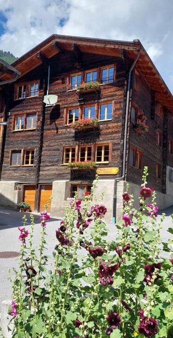 Reckingen Apartment | Alpensonne