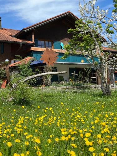 Bad Oberdorf Apartment | Alpenstyle Ferienwohnung mit Südbalkon in Geisteier's Hüs