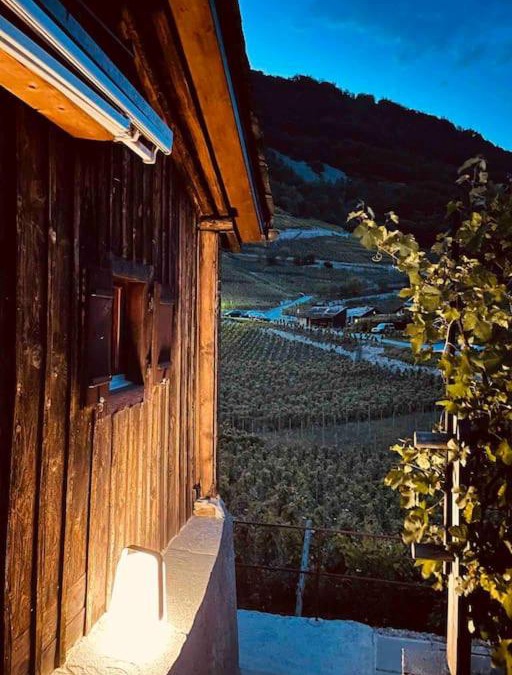 Martigny-Combe Ski Chalet | Alpine Bliss - Cozy Chalet with Panoramic Views