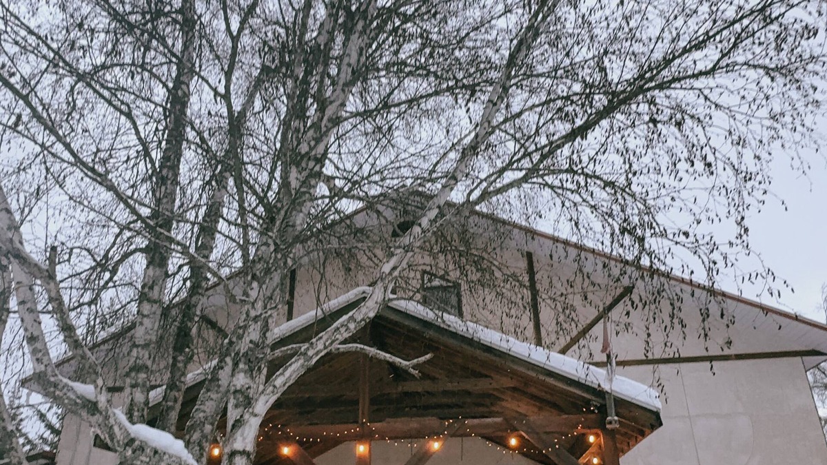 Golden House | Alpine Meadows Lodge