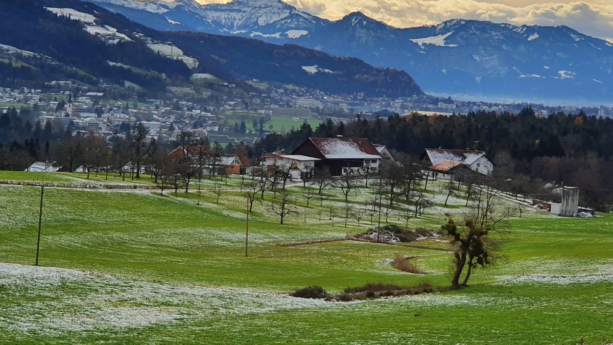 Sigmarszell Apartment | alpine view