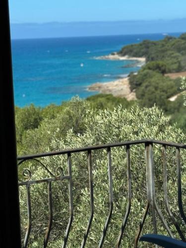 Olmeto House | Altagna