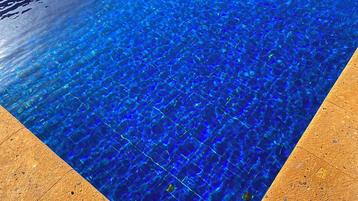 Reynosa Hotel | ALTAVISTA