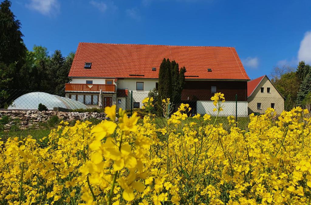 Berggieshubel House | Alte Schäferei Bad Gottleuba
