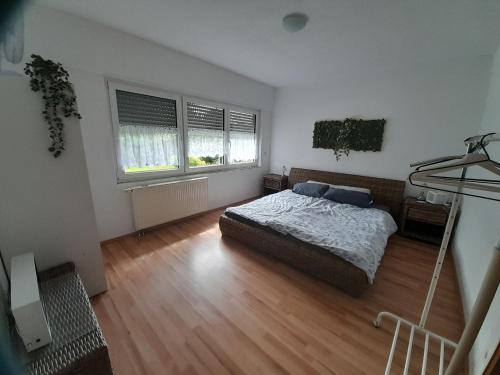 Langenbrucken Apartment | Alte Villa mit Terrasse