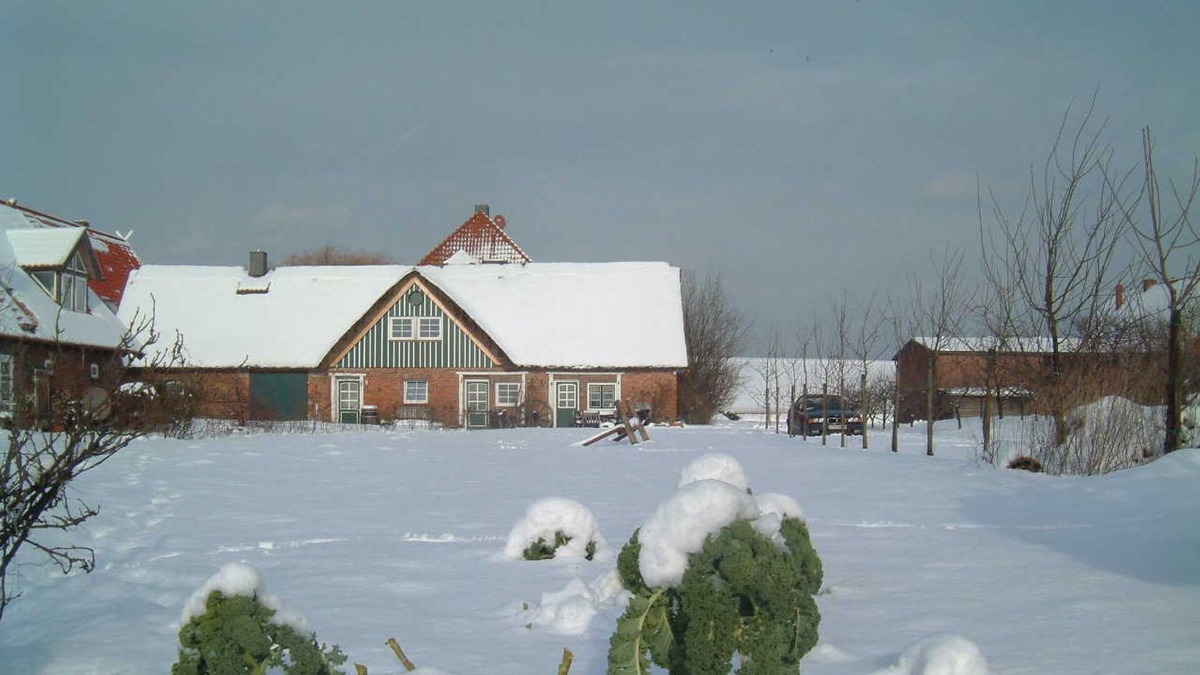 Jork Apartment | Alter Obsthof am Elbdeich - Holidays under the thatched roof - Thatched roof apartment 1