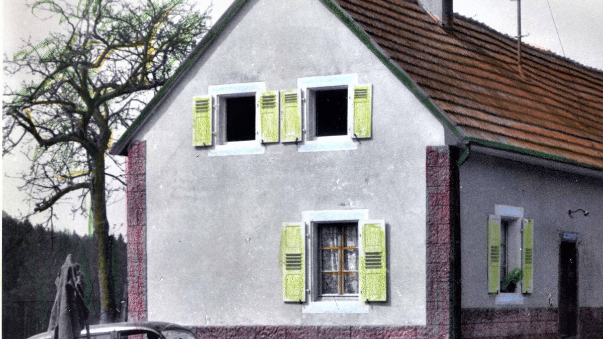Niederbronn-les-Bains Other | Altes Renoviertes Bauernhaus im Elsass Nähe Grenze im Wineckerthal