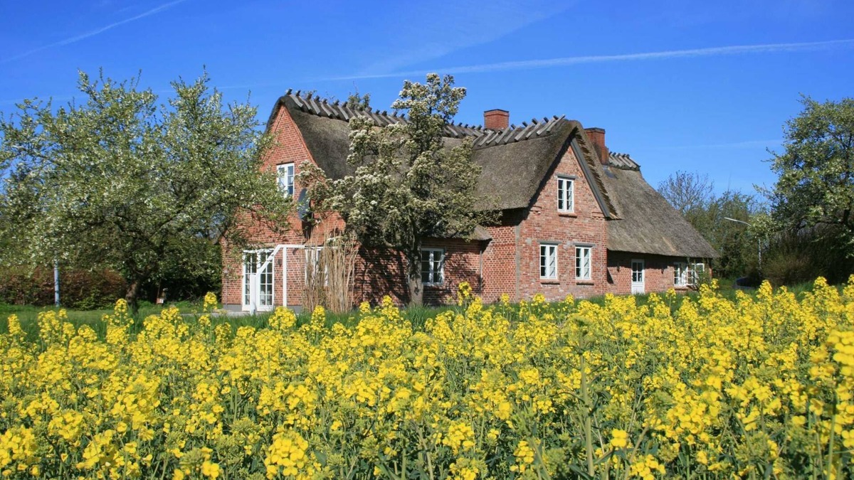 Stenderup House | Altes Schusterhus - Ferienhaus Altes Schusterhus