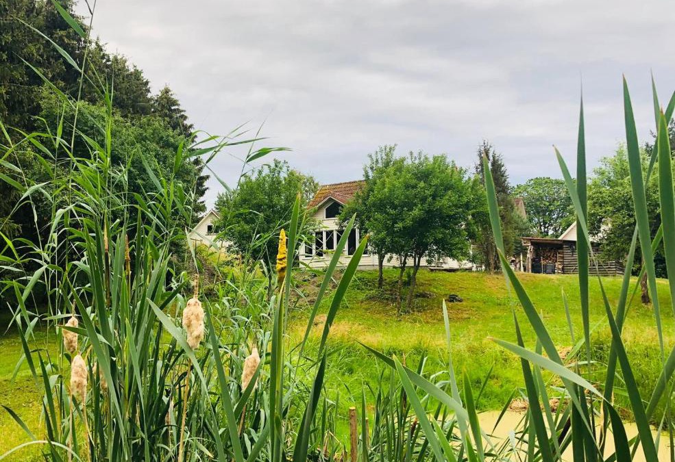 Haljala Parish Apartment | Altja Villa-Cottage with sauna