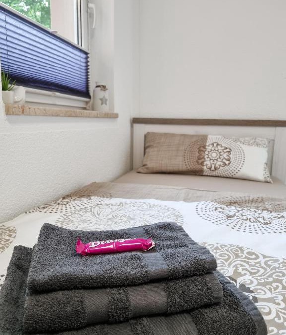 Domviertel Apartment | Altstadt-FeWo-Freiberg