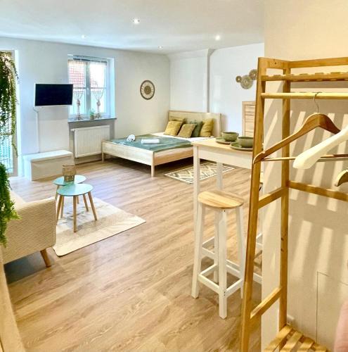 Sudost Old Town Apartment | Altstadt INsel - workaction - free parking - Audi - Balkon - Aufzug